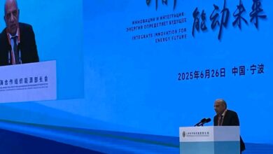 الدكتور محمود عصمت، وزير الكهرباء والطاقة المتجددة