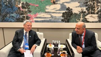 الدكتور محمود عصمت، وزير الكهرباء والطاقة المتجددة