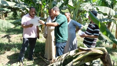 جانب من الزيارة الميدانية