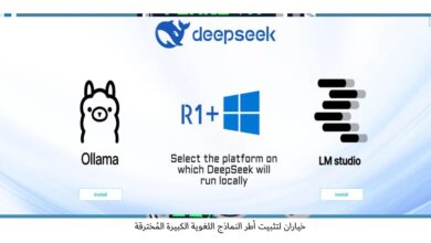 تطبيق DeepSeek
