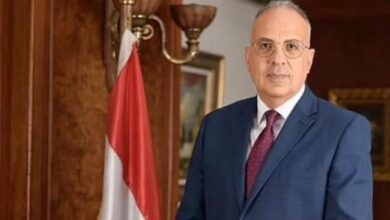 الدكتور هاني سويلم وزير الري