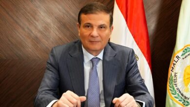 مصر ترفع صادراتها الزراعية