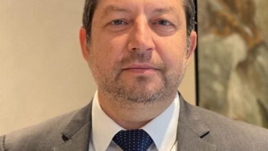 المهندس شريف الصياد