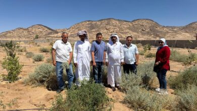 مبادرة تنمية متكاملة في المناطق الصحراوية