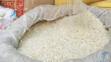 أسعار الارز اليوم