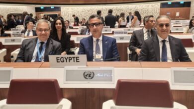 جانب من المؤتمر