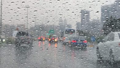 أمطار على القاهرة وارتفاع الحرارة جنوبًا