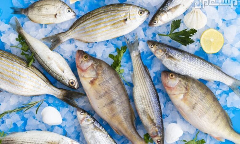 أسعار الأسماك اليوم
