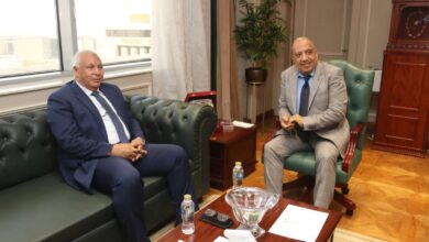 وزير الكهرباء والطاقة المتجددة