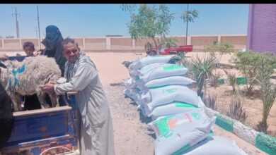 بحوث الصحراء