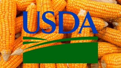 وزارة الزراعة الأمريكية