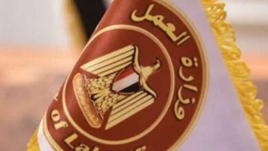 وزارة العمل المصرية