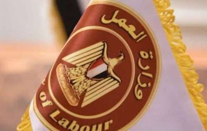 وزارة العمل المصرية