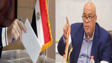 أيمن العشري، رئيس غرفة القاهرة التجارية