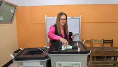 الأستاذة داليا الباز، رئيس مجلس إدارة الهيئة القومية للبريد