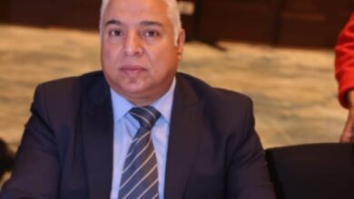 علاء نصر الدين، عضو مجلس إدارة غرفة صناعة الأخشاب