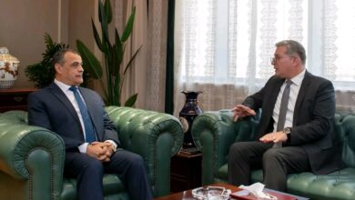 وزيرا الإنتاج الحربي والبترول