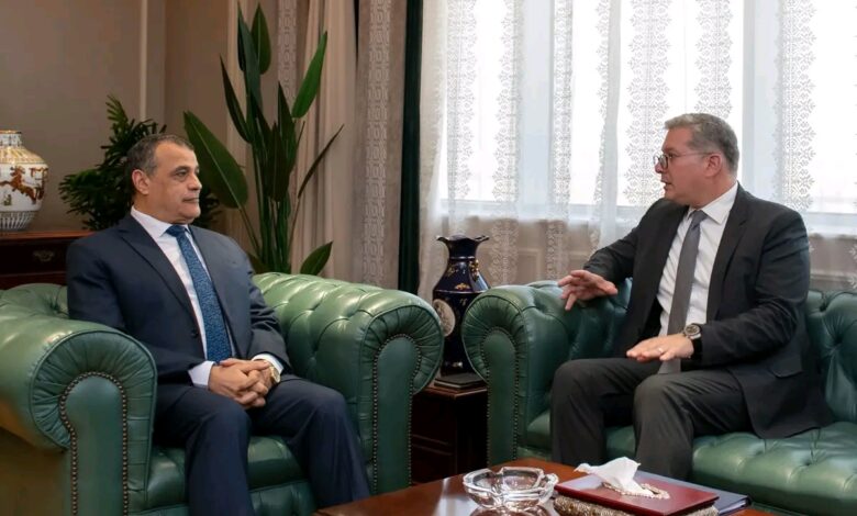 وزيرا الإنتاج الحربي والبترول