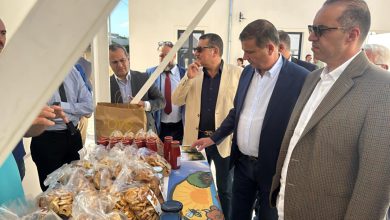 علاء فاروق، وزير الزراعة واستصلاح الأراضي