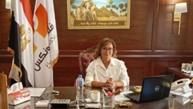 المهندسة إنجي فلتس، رئيس لجنة الصناعة بجمعية المستثمرين