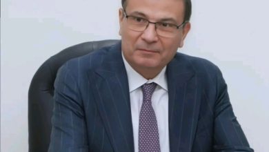 علاء فاروق، وزير الزراعة واستصلاح الأراضي