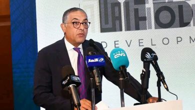 حسام هيبة،  رئيس الهيئة العامة للاستثمار