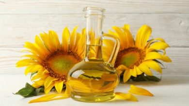 البذور الزيتية