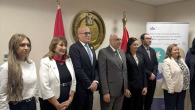 شركة دالتكس