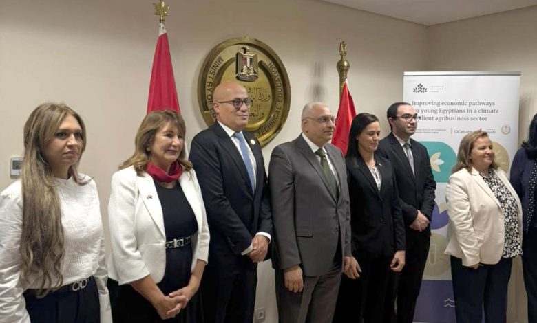 شركة دالتكس