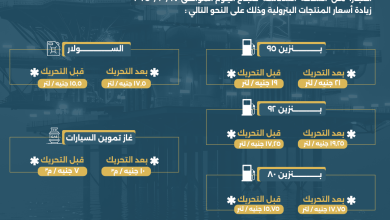 أسعار الوقود في مصر