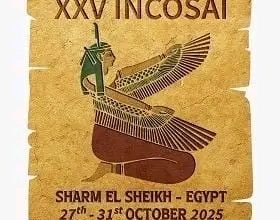 المؤتمر الدولي للأجهزة العليا للرقابة "الإنكوساي 25"