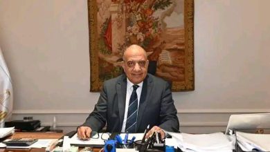 الدكتور محمود عصمت، وزير الكهرباء والطاقة المتجددة