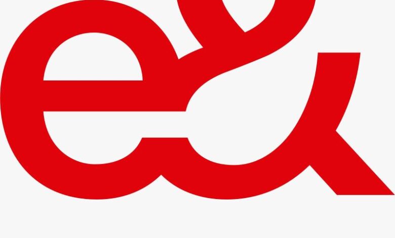 e& Egypt