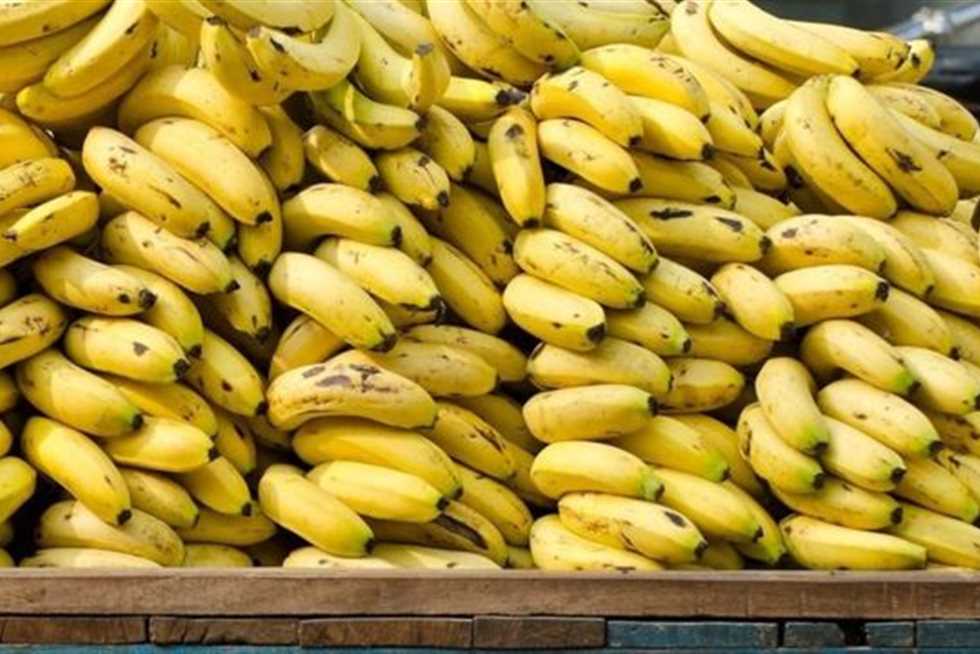 أسعار الموز و الفاكهة اليوم 