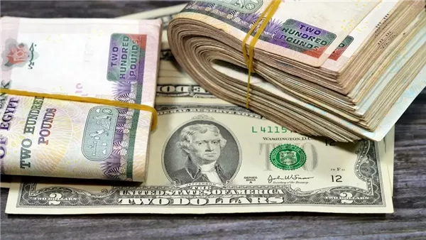 سعر الدولار مقابل الجنيه المصري اليوم الخميس 1 يناير 2026