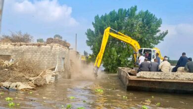 حملات إزالة التعديات الواقعة على مجرى نهر النيل وفرعيه