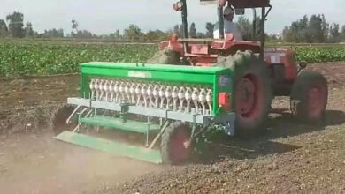 توزيع 75 سطارة قمح مطوّرة