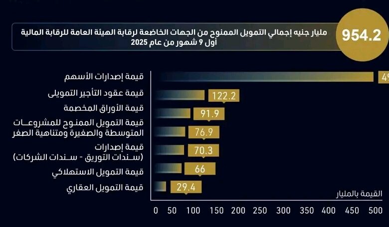 التقارير الرسمية الصادرة عن الهيئة العامة للرقابة المالية