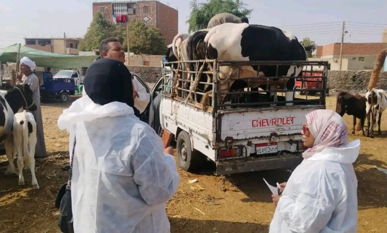 حملات الزراعة ضد الحمى القلاعية