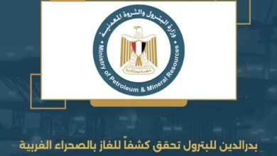 شركة بدر الدين للبترول