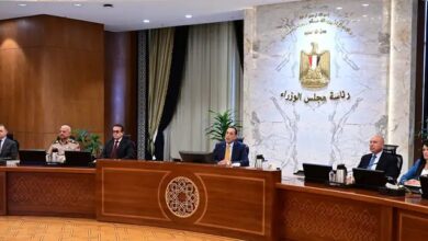 جانب من اجنماع مجلس الوزراء