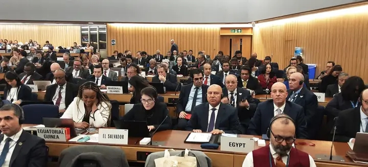 فوز مصر بعضوية مجلس المنظمة البحرية الدولية