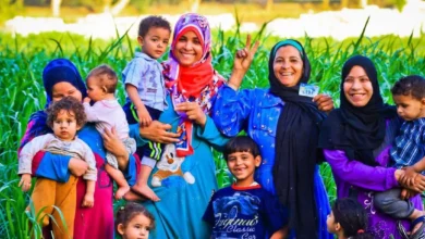 الاستعلام عن معاش تكافل وكرامة لشهر نوفمبر 2025