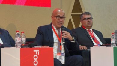 هشام النجار، نائب رئيس المجلس التصديري للحاصلات الزراعية