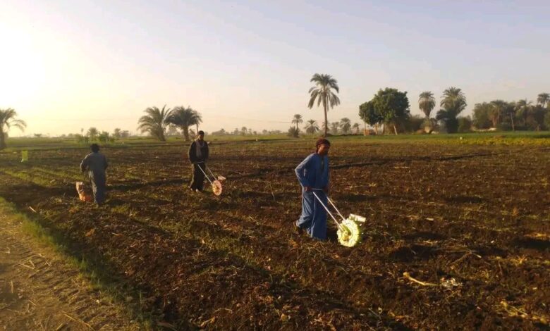 الزراعة تتفذ أكثر من 2000 ندوة إرشادية بمختلف محافظات الجمهورية