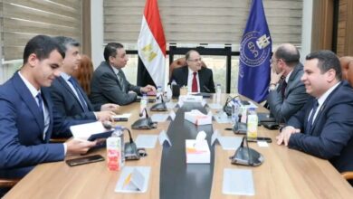 جانب من اللقاء 