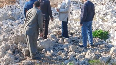 «الزراعة»: إزالة 274 حالة تعدٍ على الأراضي الزراعية