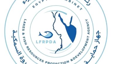 افتتاح موسم الصيد بمزرعة الزاوية السمكية