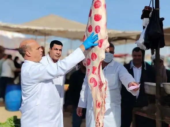 الزراعة تضبط 682 طنًا لحوم غير صالحة