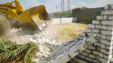 حملات موسعة لإزالة التعديات على الأراضي الزراعية